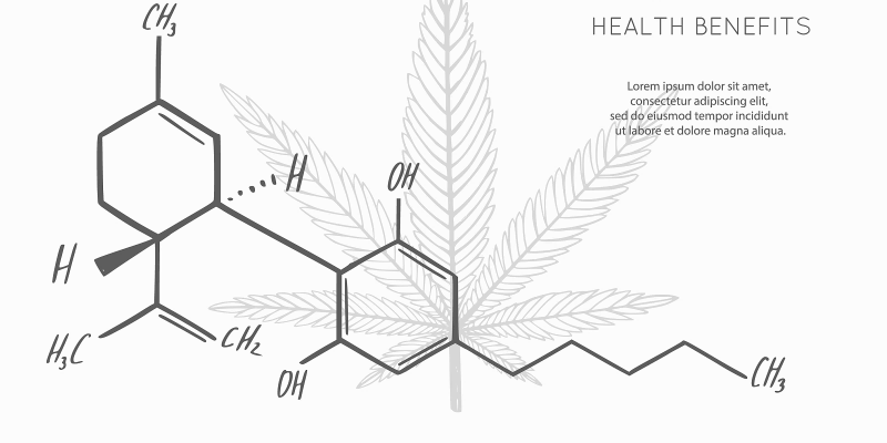 CBD EXTRACTION