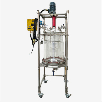 Stainless steel reactor